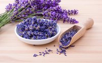 Lavendel - Produkte der Provence